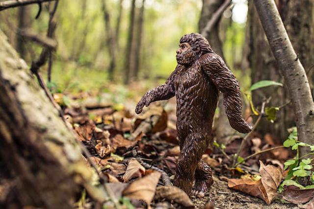 Bigfoot