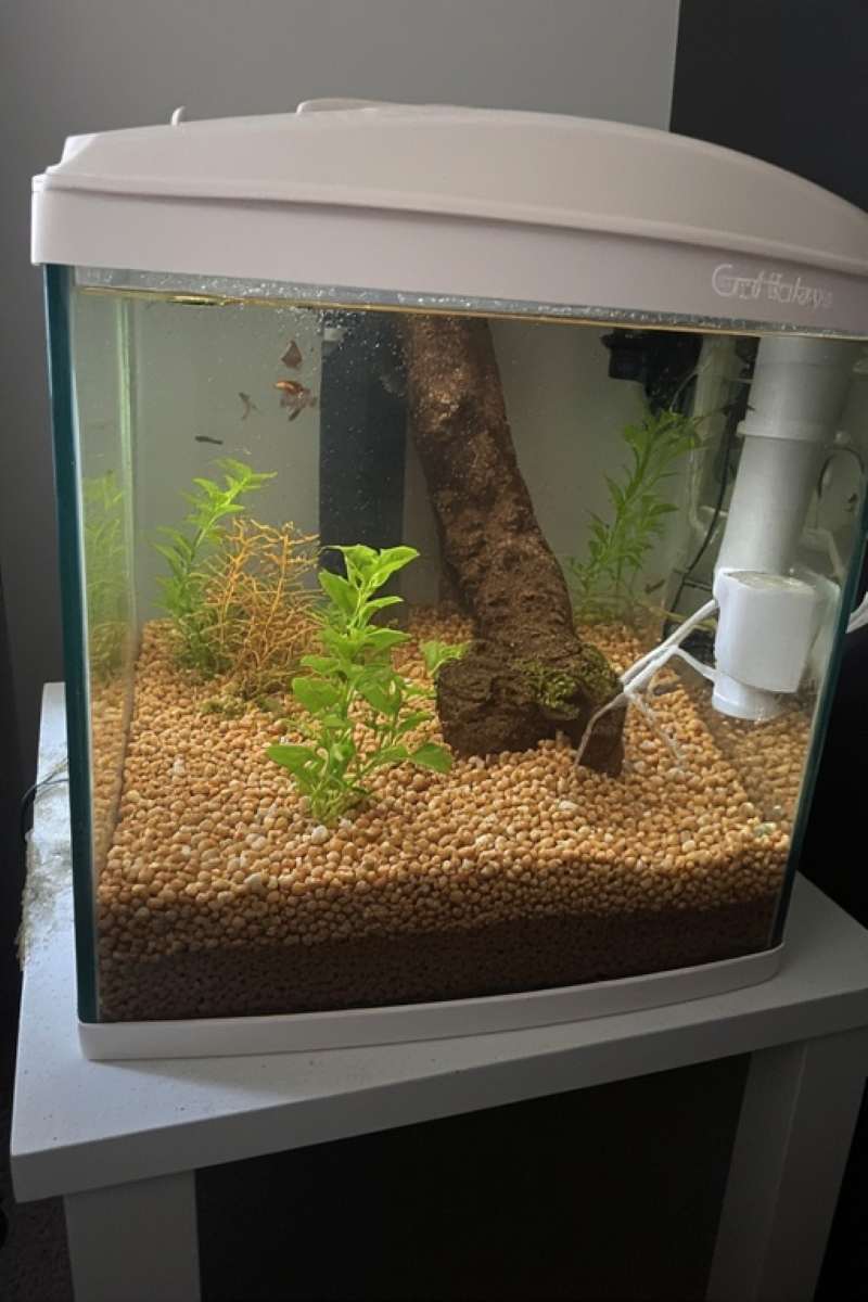 Craftboys 16L Fish Tank